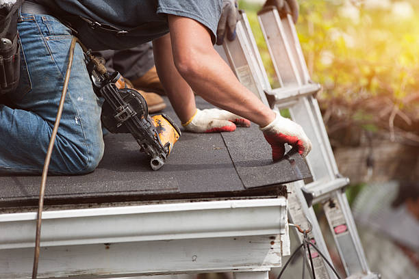 Best Roof Gutter Cleaning  in Laguna Niguel, CA
